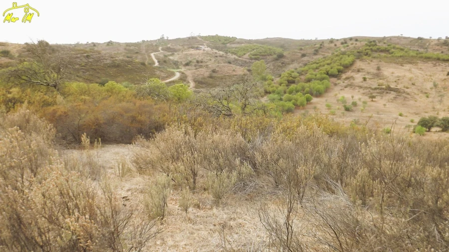 Terreno Agricola ou Rústico para Venda em Castro Marim Foto 9