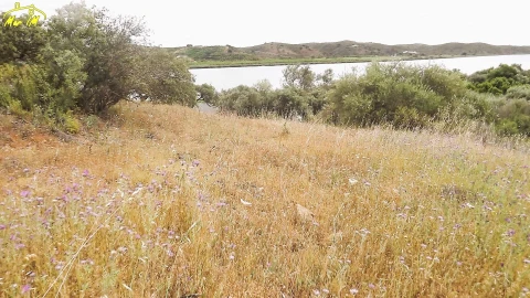 Terreno Agricola ou Rústico para Venda em Castro Marim