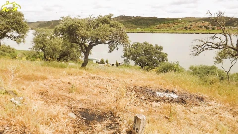 Terreno Agricola ou Rústico para Venda em Castro Marim