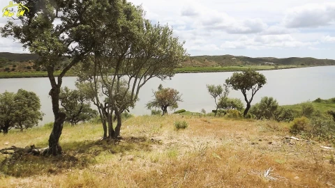 Terreno Agricola ou Rústico para Venda em Castro Marim