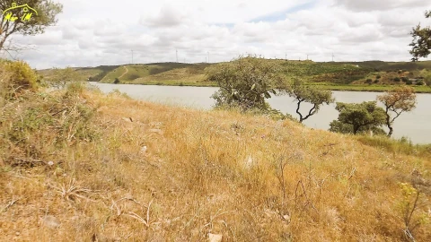 Terreno Agricola ou Rústico para Venda em Castro Marim