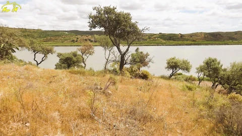 Terreno Agricola ou Rústico para Venda em Castro Marim