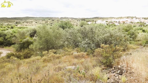Terreno Agricola ou Rústico para Venda em Castro Marim