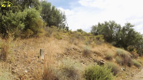 Terreno Agricola ou Rústico para Venda em Castro Marim