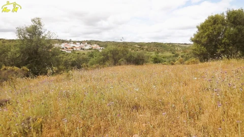 Terreno Agricola ou Rústico para Venda em Castro Marim