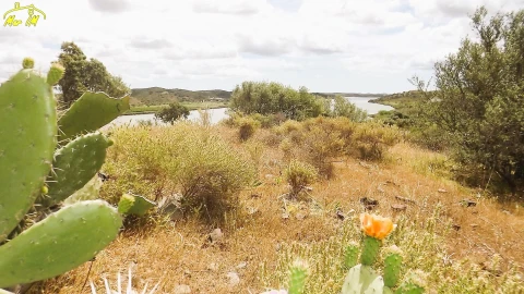 Terreno Agricola ou Rústico para Venda em Castro Marim