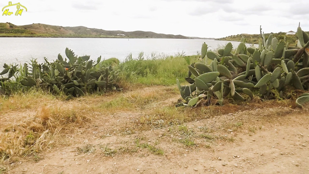 Terreno Agricola ou Rústico para Venda em Castro Marim Foto 3