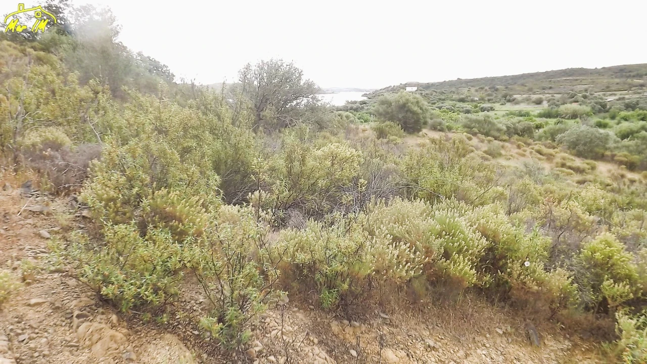 Terreno Agricola ou Rústico para Venda em Castro Marim Foto 47