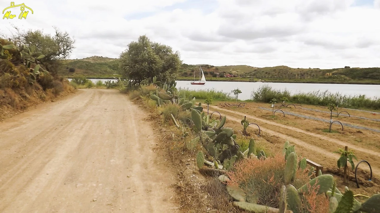 Terreno Agricola ou Rústico para Venda em Castro Marim Foto 7