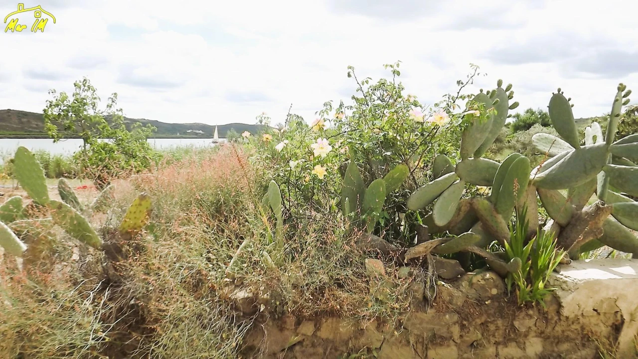 Terreno Agricola ou Rústico para Venda em Castro Marim Foto 9