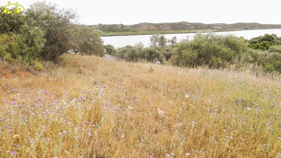 Terreno Agricola ou Rústico para Venda em Castro Marim Foto 12