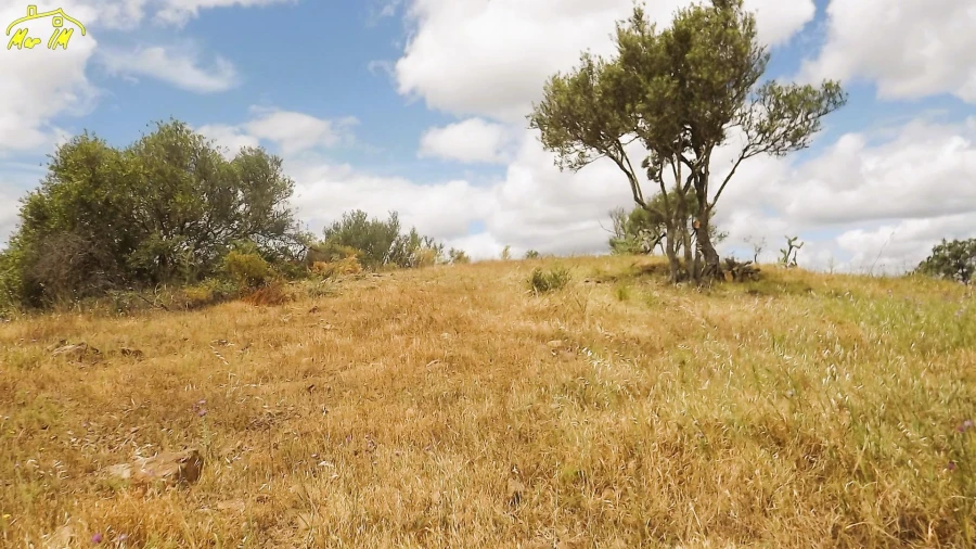 Terreno Agricola ou Rústico para Venda em Castro Marim Foto 19