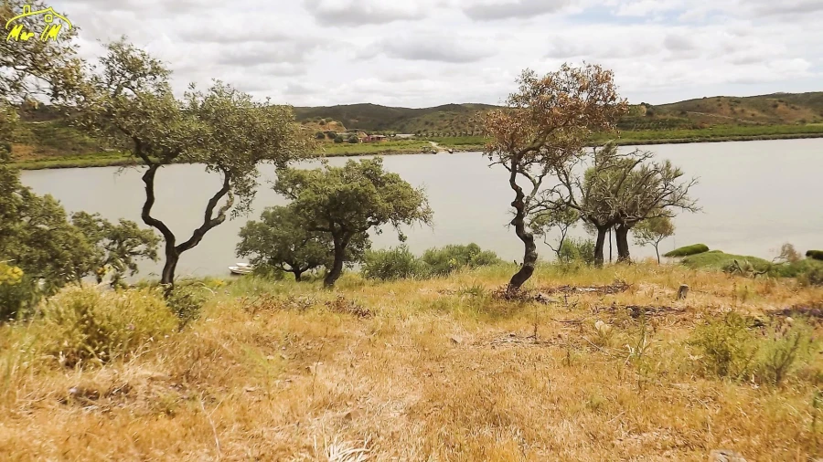 Terreno Agricola ou Rústico para Venda em Castro Marim Foto 21