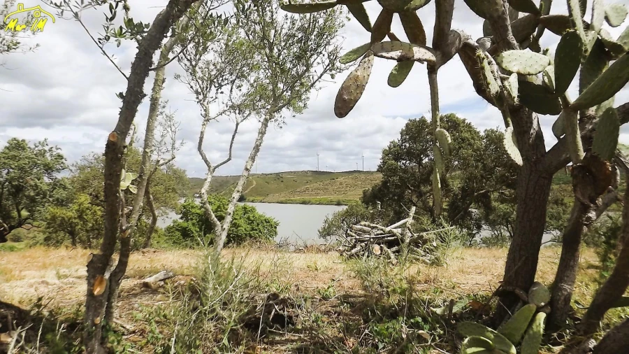 Terreno Agricola ou Rústico para Venda em Castro Marim Foto 36