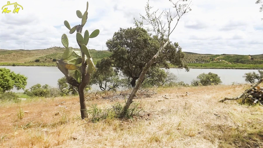 Terreno Agricola ou Rústico para Venda em Castro Marim Foto 40