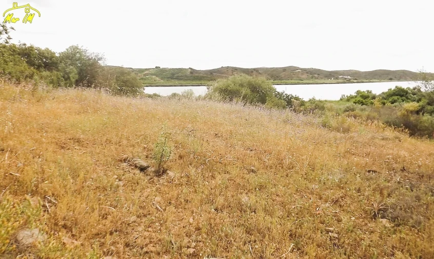Terreno Agricola ou Rústico para Venda em Castro Marim Foto 12
