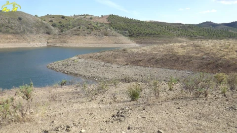 Terreno Agricola ou Rústico para Venda em Castro Marim