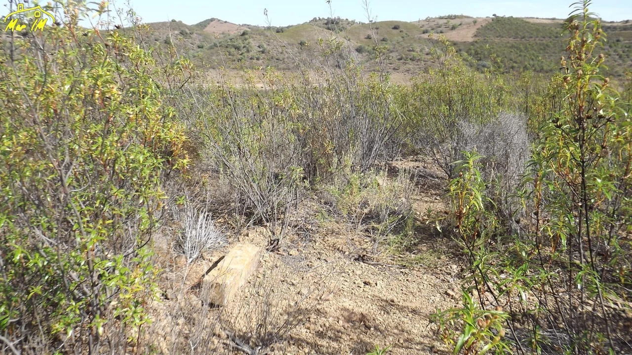 Terreno Agricola ou Rústico para Venda em Castro Marim Foto 12
