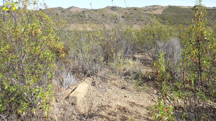 Terreno Agricola ou Rústico para Venda em Castro Marim Foto 12