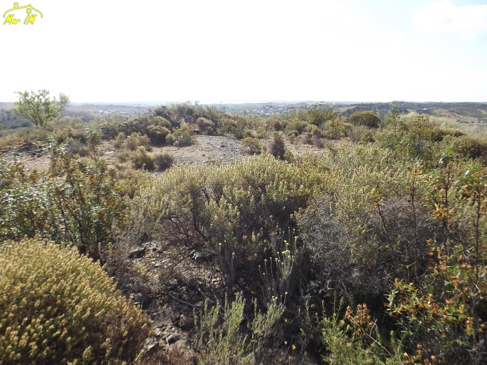 Terreno Agricola ou Rústico para Venda em Castro Marim Foto 33