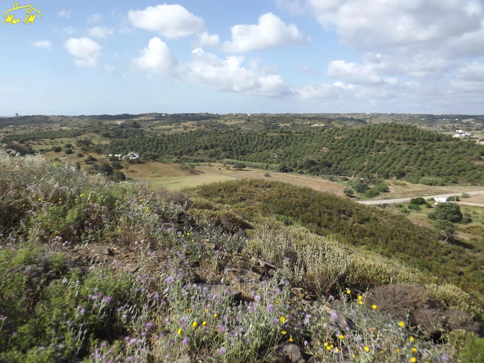 Terreno Agricola ou Rústico para Venda em Castro Marim Foto 35