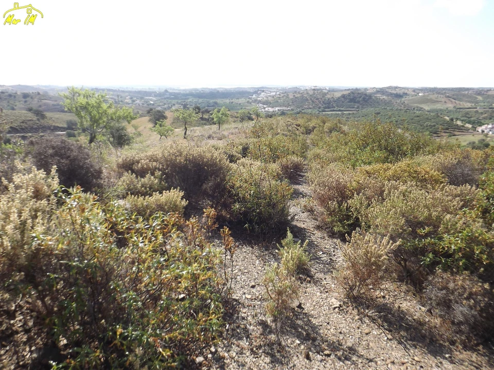 Terreno Agricola ou Rústico para Venda em Castro Marim Foto 39