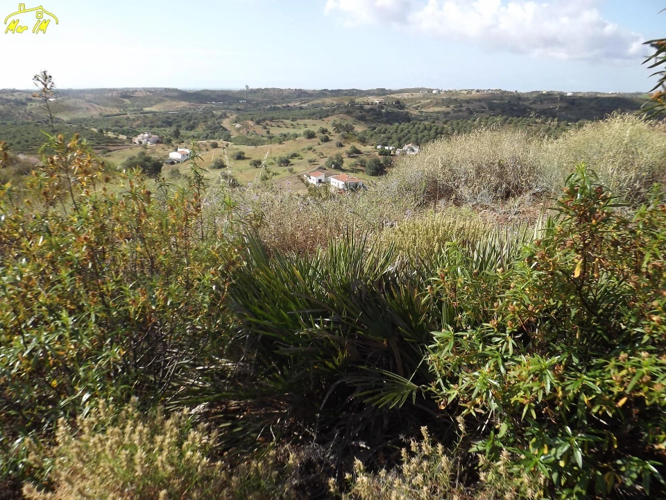 Terreno Agricola ou Rústico para Venda em Castro Marim Foto 40