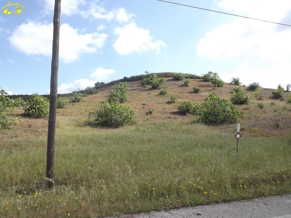 Terreno Agricola ou Rústico para Venda em Castro Marim Foto 47