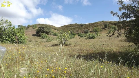 Terreno Agricola ou Rústico para Venda em Castro Marim