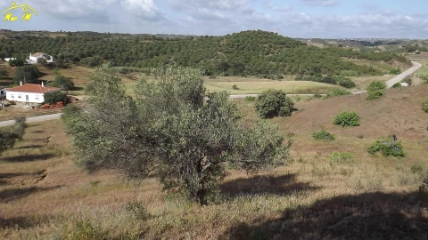 Terreno Agricola ou Rústico para Venda em Castro Marim