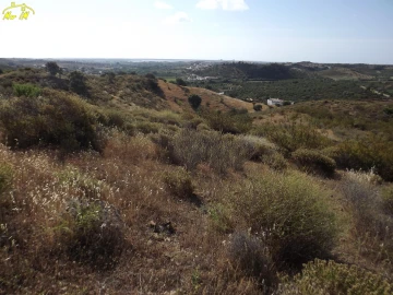 Terreno Agricola ou Rústico para Venda em Castro Marim
