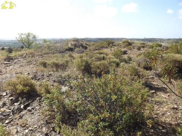 Terreno Agricola ou Rústico para Venda em Castro Marim
