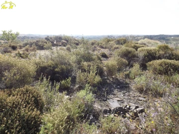 Terreno Agricola ou Rústico para Venda em Castro Marim