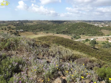Terreno Agricola ou Rústico para Venda em Castro Marim