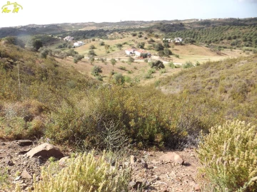 Terreno Agricola ou Rústico para Venda em Castro Marim