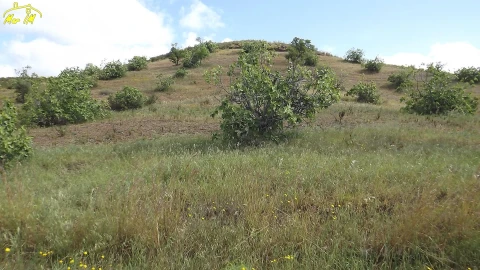Terreno Agricola ou Rústico para Venda em Castro Marim