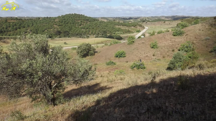 Terreno Agricola ou Rústico para Venda em Castro Marim Foto 14