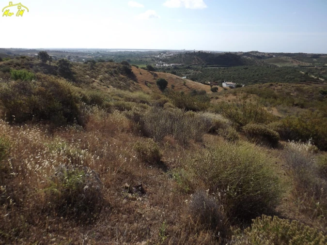 Terreno Agricola ou Rústico para Venda em Castro Marim Foto 18