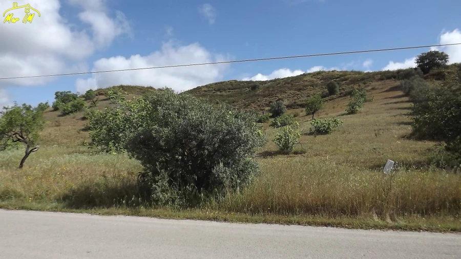 Terreno Agricola ou Rústico para Venda em Castro Marim Foto 3