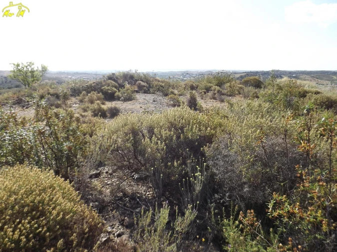 Terreno Agricola ou Rústico para Venda em Castro Marim Foto 33