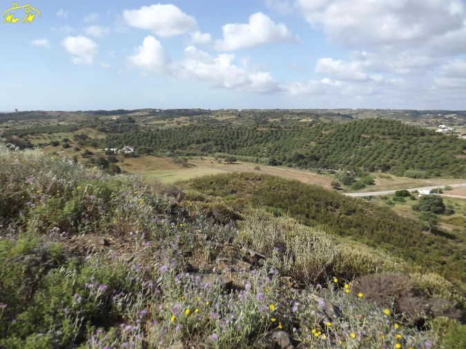 Terreno Agricola ou Rústico para Venda em Castro Marim Foto 35