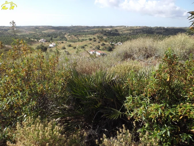 Terreno Agricola ou Rústico para Venda em Castro Marim Foto 40