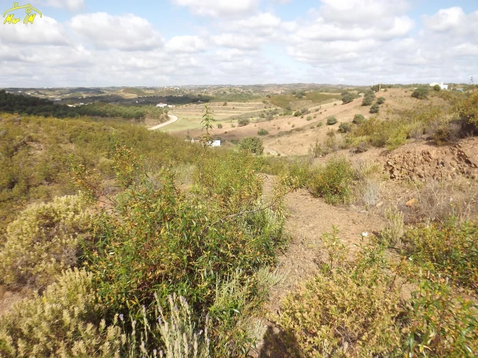 Terreno Agricola ou Rústico para Venda em Castro Marim Foto 42