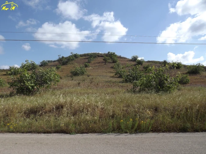 Terreno Agricola ou Rústico para Venda em Castro Marim Foto 48
