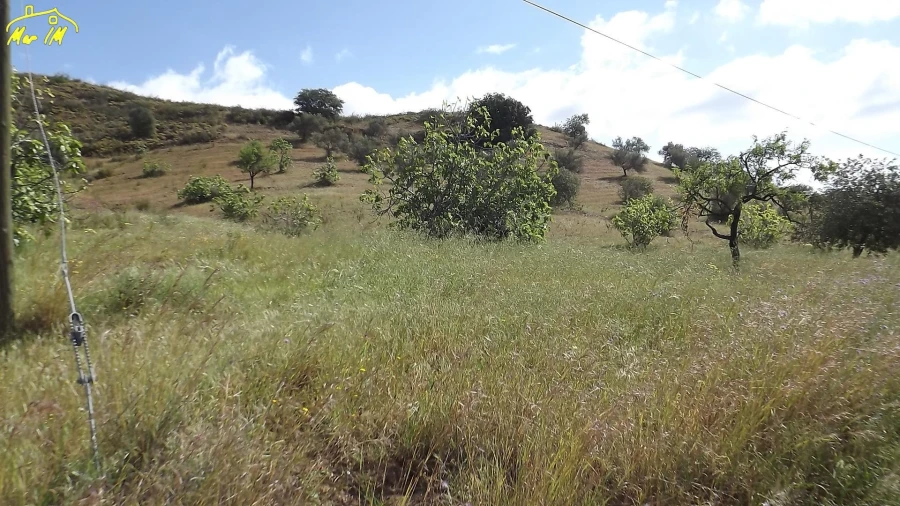 Terreno Agricola ou Rústico para Venda em Castro Marim Foto 5