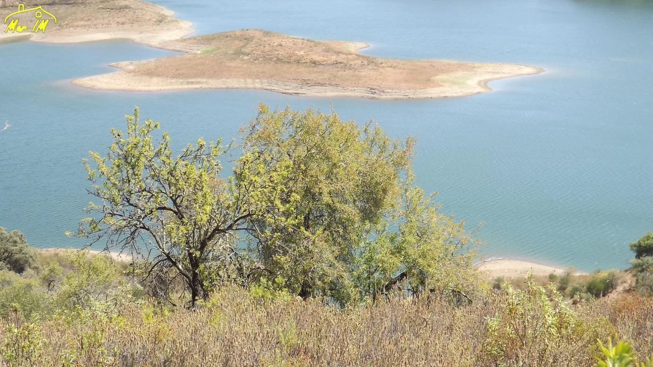 Terreno Agricola ou Rústico para Venda em Castro Marim Foto 33