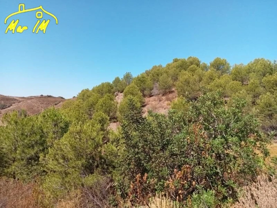 Terreno Agricola ou Rústico para Venda em Castro Marim Foto 4