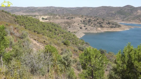 Terreno Agricola ou Rústico para Venda em Castro Marim