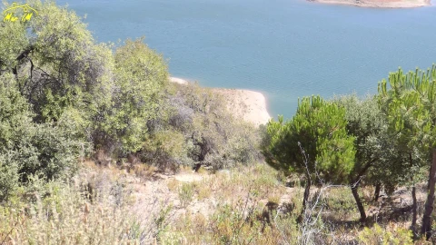 Terreno Agricola ou Rústico para Venda em Castro Marim