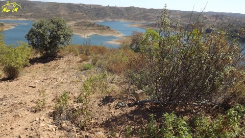 Terreno Agricola ou Rústico para Venda em Castro Marim